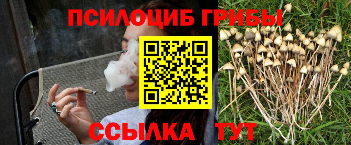 Псилоцибиновые грибы Psilocybe  Вход с VPN  Ковров 