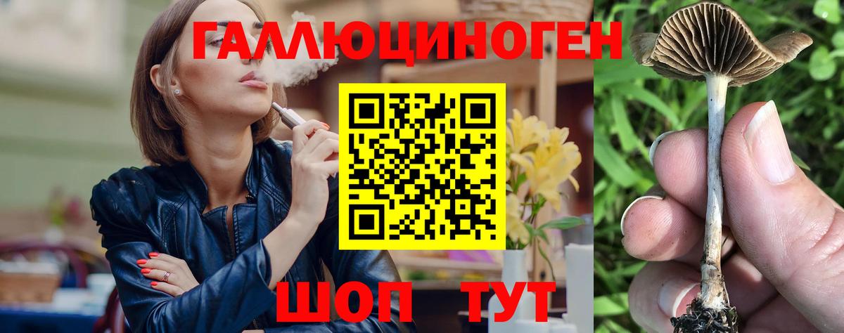 Псилоцибиновые грибы ЛСД Ковров